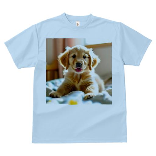 Tシャツ メンズ キッズ 犬ファン 半袖 春夏 犬柄 プリント カジュアル かわいい 人間用 フィットネス ダンス 背景 ゴールデンレトリバー 室内 窓