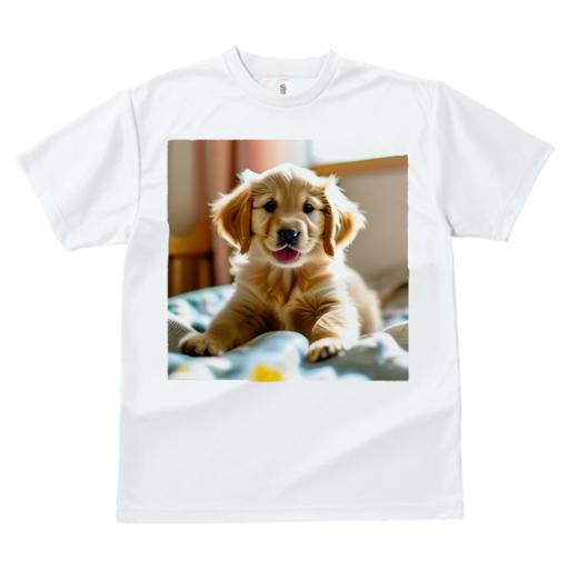 Tシャツ メンズ キッズ 犬ファン 半袖 春夏 犬柄 プリント カジュアル かわいい 人間用 フィットネス ダンス 背景 ゴールデンレトリバー 室内 窓