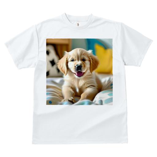 Tシャツ レディース 犬ファン 半袖 春夏 犬柄 プリント カジュアル かわいい 人間用 フィットネス ダンス クッション ゴールデンレトリバー
