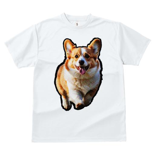 Tシャツ レディース 犬ファン 半袖 春夏 犬柄 プリント カジュアル かわいい 人間用 フィットネス ダンス コーギー