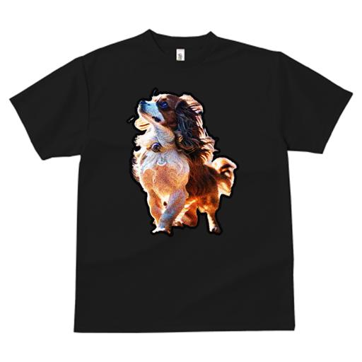 Tシャツ レディース 犬ファン 半袖 春夏 犬柄 プリント カジュアル かわいい 人間用 フィットネス ダンス キャバリア