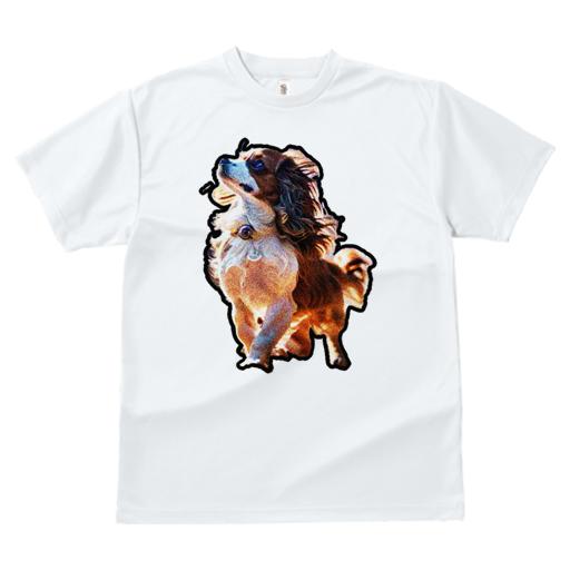Tシャツ レディース 犬ファン 半袖 春夏 犬柄 プリント カジュアル かわいい 人間用 フィットネス ダンス キャバリア