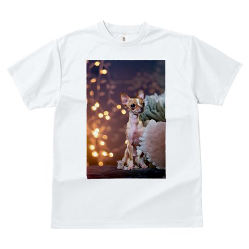 Tシャツ レディース 犬ファン 半袖 春夏 犬柄 プリント カジュアル かわいい 人間用 フィットネス ダンス ライト チワワ
