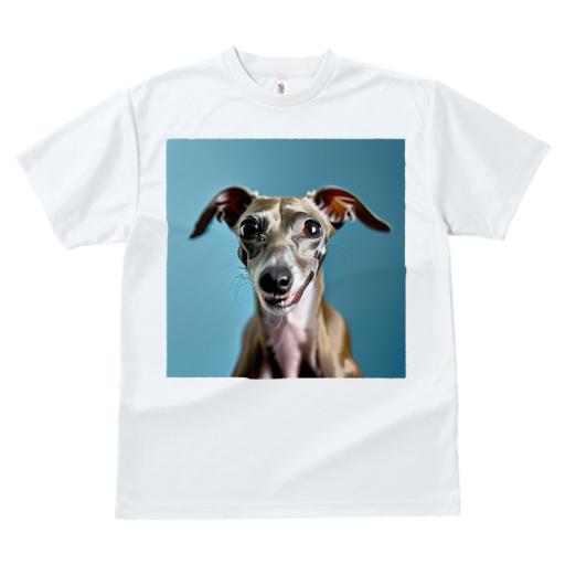 Tシャツ レディース 犬ファン 半袖 春夏 犬柄 プリント カジュアル かわいい 人間用 フィットネス ダンス イタリアングレーハウンド