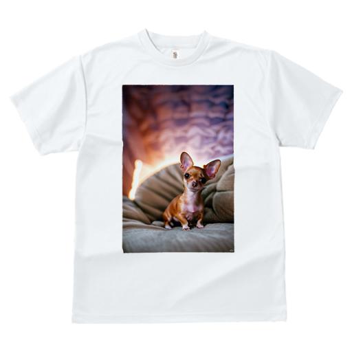 Tシャツ レディース 犬ファン 半袖 春夏 犬柄 プリント カジュアル かわいい 人間用 フィットネス ダンス クッション チワワ