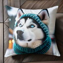 ニット帽 シベリアンハスキー スカーフ 冬 雪 クッションカバー 45×45cm アニマル柄 おしゃれ 可愛い クッション本体付き 正方形 犬ファン