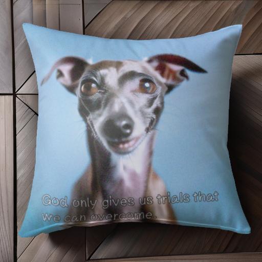 イタリアングレーハウンド クッションカバー 45×45cm アニマル柄 おしゃれ 可愛い クッション本体付き ..