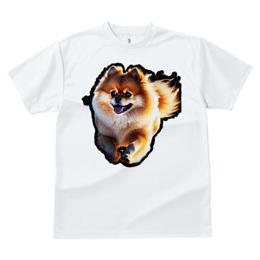 Tシャツ レディース 犬ファン 半袖 春夏 犬柄 プリント カジュアル かわいい 人間用 フィットネス ダンス 犬 ポメラニアン かわいい ペット 動物