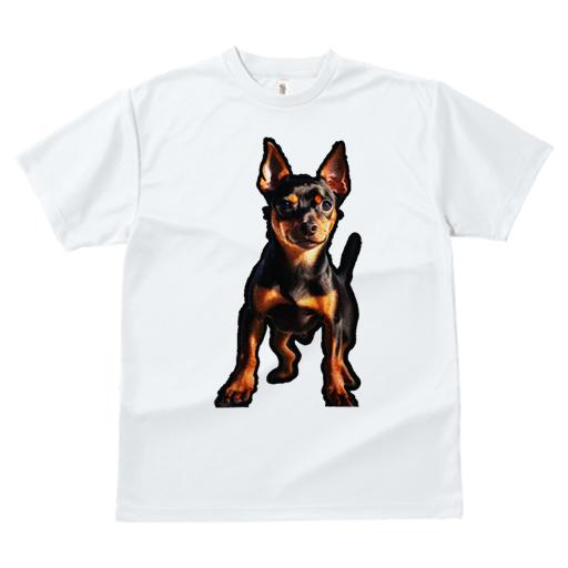 Tシャツ レディース 犬ファン 半袖 春夏 犬柄 プリント カジュアル かわいい 人間用 フィットネス ダンス ミニチュアピンシャー