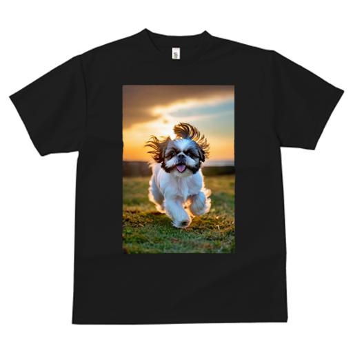 Tシャツ レディース 犬ファン 半袖 春夏 犬柄 プリント カジュアル かわいい 人間用 個性派 ここだけのデザイン 面白 夕焼け シーズー 草原