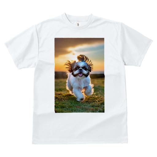 Tシャツ レディース 犬ファン 半袖 春夏 犬柄 プリント カジュアル かわいい 人間用 個性派 ここだけのデザイン 面白 夕焼け シーズー 草原