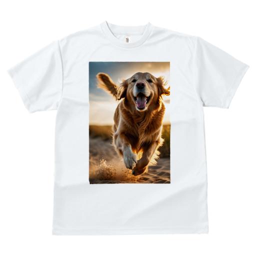Tシャツ レディース 犬ファン 半袖 春夏 犬柄 プリント カジュアル かわいい 人間用 個性派 ここだけのデザイン 面白 夕焼け ゴールデンレトリバー 砂浜 笑顔 躍動感