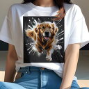 Tシャツ レディース 犬ファン 半袖 春夏 犬柄 プリント カジュアル かわいい 人間用 個性派 ここだけのデザイン 面白 ゴールデンレトリバー(4)