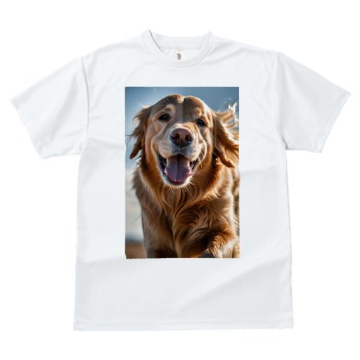 ゴールデンレトリバー Tシャツ レディース 犬ファン 半袖 春夏 犬柄 プリント カジュアル かわいい 人間用 個性派 ここだけのデザイン 面白 ゴールデンレトリバー