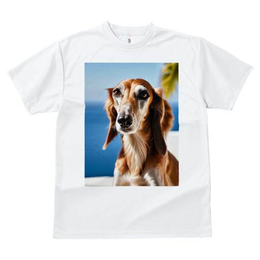 サルーキ Tシャツ レディース 犬ファン 半袖 春夏 犬柄 プリント カジュアル かわいい 人間用 個性派 ここだけのデザイン 面白 海 サルーキ 空 ヤシの木