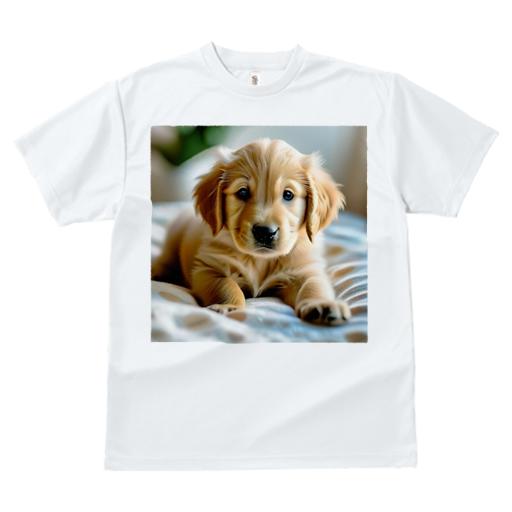 ゴールデンレトリバー Tシャツ レディース 犬ファン 半袖 春夏 犬柄 プリント カジュアル かわいい 人間用 個性派 ここだけのデザイン 面白 かわいい ゴールデンレトリバー 子犬 ペット 動物