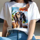 サルーキ Tシャツ レディース 犬ファン 半袖 春夏 犬柄 プリント カジュアル かわいい 人間用 個性派 ここだけのデザイン 面白 ビーチ サルーキ 傘