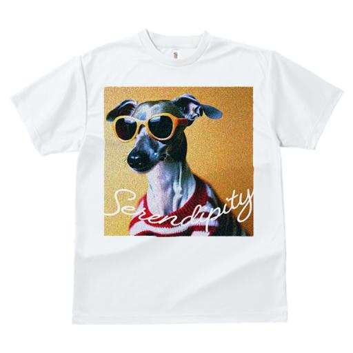 イタリアングレーハウンド Tシャツ レディース 犬ファン 半袖 春夏 犬柄 プリント カジュアル かわいい 人間用 個性派 ここだけのデザイン 面白 サングラス イタリアングレーハウンド セーター