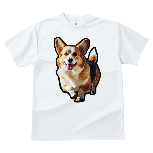 コーギー Tシャツ レディース 犬ファン 半袖 春夏 犬柄 プリント カジュアル かわいい 人間用 個性派 ここだけのデザイン 面白 コーギー
