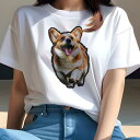 コーギー Tシャツ レディース 犬ファン 半袖 春夏 犬柄 プリント カジュアル かわいい 人間用 個性派 ここだけのデザイン 面白 笑顔 コーギー(4)
