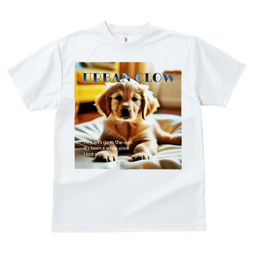 ゴールデンレトリバー Tシャツ レディース 犬ファン 半袖 春夏 犬柄 プリント カジュアル かわいい 人間用 個性派 ここだけのデザイン 面白 犬 ゴールデンレトリバー かわいい ペット 動物