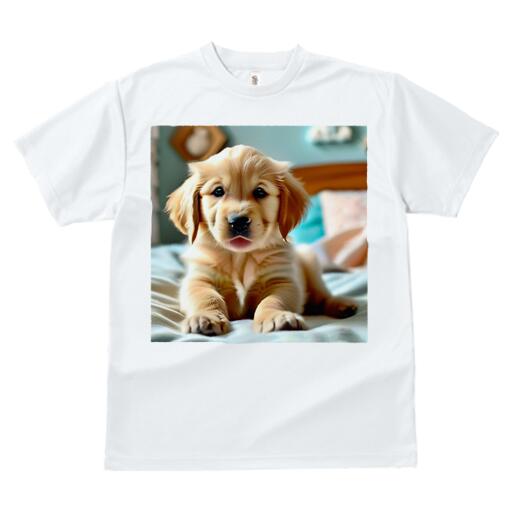 ゴールデンレトリバー Tシャツ レディース 犬ファン 半袖 春夏 犬柄 プリント カジュアル かわいい 人間用 個性派 ここだけのデザイン 面白 ゴールデンレトリバー