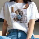 ゴールデンレトリバー Tシャツ レディース 犬ファン 半袖 春夏 犬柄 プリント カジュアル かわいい 人間用 個性派 ここだけのデザイン 面白 ゴールデンレトリバー(4)