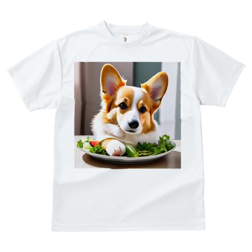 コーギー Tシャツ レディース 犬ファン 半袖 春夏 犬柄 プリント カジュアル かわいい 人間用 個性派 ここだけのデザイン 面白 サラダ コーギー 皿