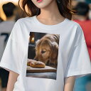 ゴールデンレトリバー Tシャツ レディース 犬ファン 半袖 春夏 犬柄 プリント カジュアル かわいい 人間用 個性派 ここだけのデザイン 面白 パン ゴールデンレトリバー 木製まな板 キャンドル