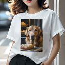 ゴールデンレトリバー Tシャツ レディース 犬ファン 半袖 春夏 犬柄 プリント カジュアル かわいい 人間用 個性派 ここだけのデザイン 面白 パン ゴールデンレトリバー クッキー