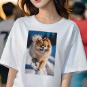 ポメラニアン Tシャツ レディース 犬ファン 半袖 春夏 犬柄 プリント カジュアル かわいい 人間用 個性派 ここだけのデザイン 面白 雪 ポメラニアン 冬 太陽 輝き(4)