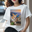 コーギー Tシャツ レディース 犬ファン 半袖 春夏 犬柄 プリント カジュアル かわいい 人間用 個性派 ここだけのデザイン 面白 海 コーギー 建物 スイカ