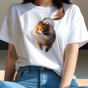 ポメラニアン Tシャツ レディース 犬ファン 半袖 春夏 犬柄 プリント カジュアル かわいい 人間用 個性派 ここだけのデザイン 面白 ふわふわ ポメラニアン かわいい 笑顔 走り