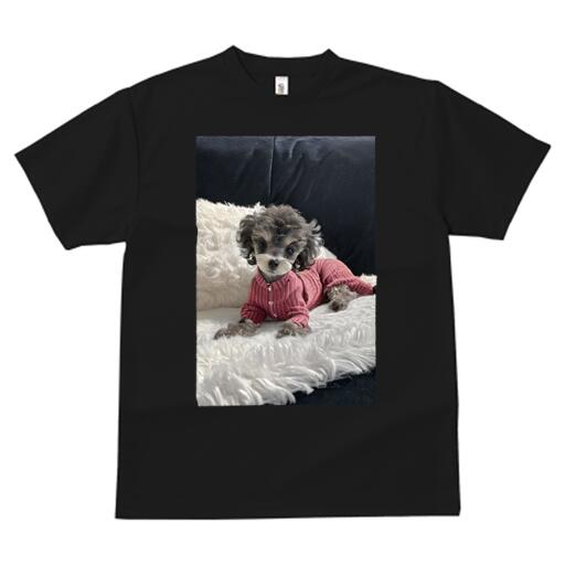 トイプードル Tシャツ メンズ キッズ 犬ファン 半袖 春夏 犬柄 プリント カジュアル かわいい 人間用 ..