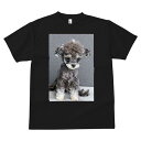 ミニチュアシュナウザー Tシャツ メンズ キッズ 犬ファン 半袖 春夏 犬柄 プリント カジュアル かわいい 人間用 個性派 ここだけのデザイン 面白 犬 ミニチュアシュナウザー ペット 動物