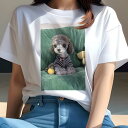 トイプードル Tシャツ レディース 犬ファン 半袖 春夏 犬柄 プリント カジュアル かわいい 人間用 個性派 ここだけのデザイン 面白 セーター トイプードル クッション テディベア ボール