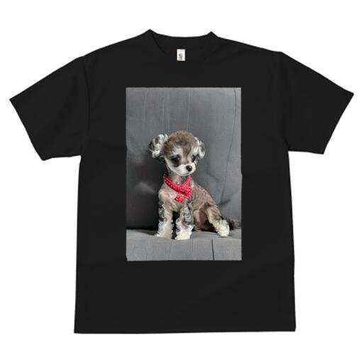 マルチーズ,ヨークシャーテリア Tシャツ レディース 犬ファン 半袖 春夏 犬柄 プリント カジュアル かわいい 人間用 個性派 ここだけのデザイン 面白 リボン マルチーズ,ヨークシャーテリア ドット