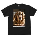 ゴールデンレトリバー Tシャツ メンズ キッズ 犬ファン 半袖 春夏 犬柄 プリント カジュアル かわいい 人間用 個性派 ここだけのデザイン 面白 クッキー ゴールデンレトリバー