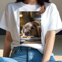 ゴールデンレトリバー Tシャツ レディース 犬ファン 半袖 春夏 犬柄 プリント カジュアル かわいい 人間用 個性派 ここだけのデザイン 面白 クッキー ゴールデンレトリバー