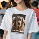ゴールデンレトリバー Tシャツ レディース 犬ファン 半袖 春夏 犬柄 プリント カジュアル かわいい 人間用 個性派 ここだけのデザイン 面白 クッキー ゴールデンレトリバー