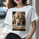 ゴールデンレトリバー Tシャツ レディース 犬ファン 半袖 春夏 犬柄 プリント カジュアル かわいい 人間用 個性派 ここだけのデザイン 面白 クッキー ゴールデンレトリバー