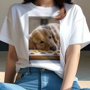 ゴールデンレトリバー Tシャツ レディース 犬ファン 半袖 春夏 犬柄 プリント カジュアル かわいい 人間用 個性派 ここだけのデザイン 面白 クッキー ゴールデンレトリバー 焼き菓子 木の板 おやつ