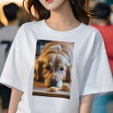 ゴールデンレトリバー Tシャツ レディース 犬ファン 半袖 春夏 犬柄 プリント カジュアル かわいい 人間用 個性派 ここだけのデザイン 面白 クッキー ゴールデンレトリバー