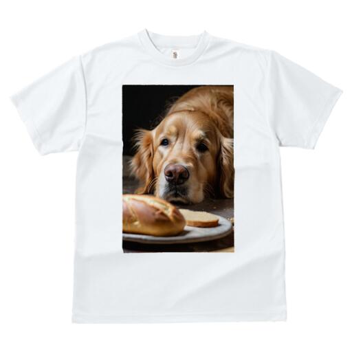 ゴールデンレトリバー Tシャツ レディース 犬ファン 半袖 春夏 犬柄 プリント カジュアル かわいい 人間用 個性派 ここだけのデザイン 面白 パン ゴールデンレトリバー