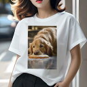 ゴールデンレトリバー Tシャツ レディース 犬ファン 半袖 春夏 犬柄 プリント カジュアル かわいい 人間用 個性派 ここだけのデザイン 面白 クッキー ゴールデンレトリバー 食べ物 デザート