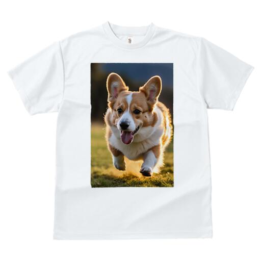 コーギー Tシャツ レディース 犬ファン 半袖 春夏 犬柄 プリント カジュアル かわいい 人間用 個性派 ここだけのデザイン 面白 芝生 コーギー 光