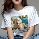 ゴールデンレトリバー Tシャツ レディース 犬ファン 半袖 春夏 犬柄 プリント カジュアル かわいい 人間用 個性派 ここだけのデザイン 面白 クッション ゴールデンレトリバー ベッド