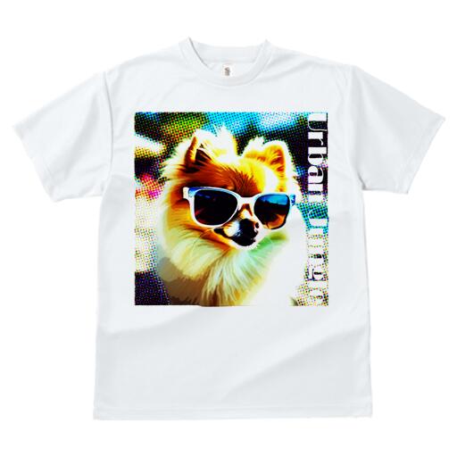 ポメラニアン Tシャツ レディース 犬ファン 半袖 春夏 犬柄 プリント カジュアル かわいい 人間用 個性派 ここだけのデザイン 面白 サングラス ポメラニアン