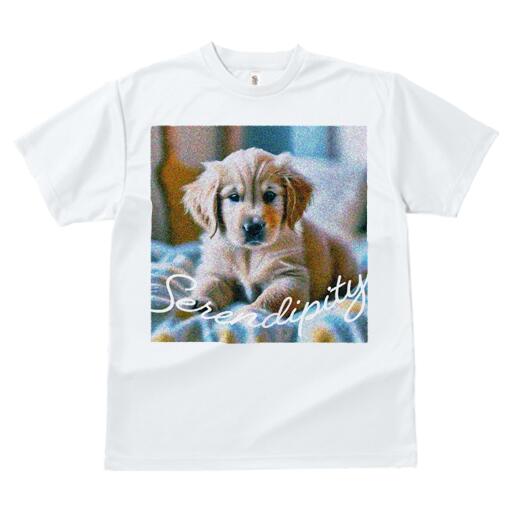 ゴールデンレトリバー Tシャツ レディース 犬ファン 半袖 春夏 犬柄 プリント カジュアル かわいい 人間用 個性派 ここだけのデザイン 面白 ゴールデンレトリバー