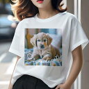ゴールデンレトリバー Tシャツ レディース 犬ファン 半袖 春夏 犬柄 プリント カジュアル かわいい 人間用 個性派 ここだけのデザイン 面白 ゴールデンレトリバー(4)